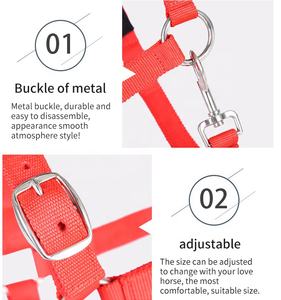 Cabestros chapados en latón Entrenamiento Miniatura Plástico Halter Caballo Nylon Neopreno Proveedor de mascotas - Product Image 4