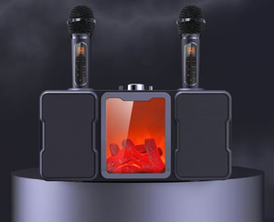 Meilleur haut-parleur Bluetooth portable avec micro sans fil pour karaoké Hejia SP600 Machine de karaoké - Product Image 5
