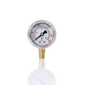 Manomètre radial BSK High YN40 en acier inoxydable, rempli d'huile, précision de 0,25 %, plage 0-450 PSI, garantie 1 an - Product Image 1