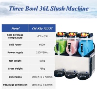 Machine à slush grande capacité en promotion – Machine à boissons glacées automatique en acier inoxydable pour hôtels