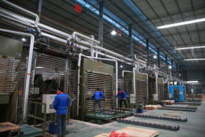 بيع مباشر من المصنع لألواح الخشب الرقائقي بواجهة ، من من ألواح من خشب الأبلكاج من من من من المصنع ، ولوح 18 من ألواح الخزائن - Product Image 4