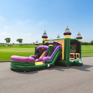 Château gonflable commercial avec toboggan pour la <span class=keywords><strong>location</strong></span> - Product Image 1