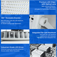 Projecteur LED extérieur étanche 100W Ra 70 CRI 400W avec puces SMD 3030 2835 pour zone végétale, IP65