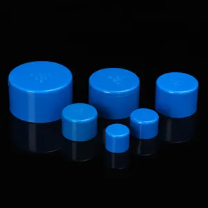 High quality 30mm 12 inches plastic DIN Standard pvc end caps