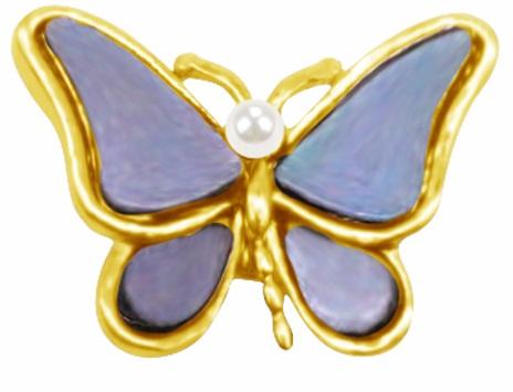 Papillon d'or 1