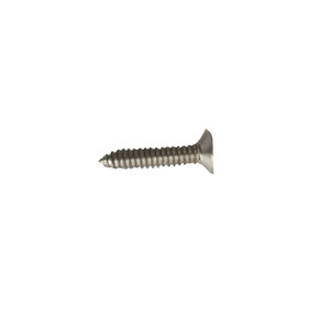 Vis autotaraudeuse en acier inoxydable 304, 5x16mm, tête ronde Phillips, métrique, droite, grade 8, passivée pour applications métalliques - Product Image 1