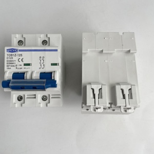 เบรกเกอร์วงจรขนาดเล็ก TOMZN 2P 125A DC MCB 600V สำหรับระบบโซลาร์เซลล์ แบบ C Curve สำหรับแบตเตอรี่หลักและสวิตช์กำเนิดไฟฟ้าพลังงานแสงอาทิตย์ - Product Image 5