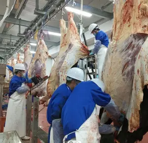 WFA fabrika uluslararası lal gıda standı mezbaha sığır derisi makinesi inek kesim tesisi tam kesim