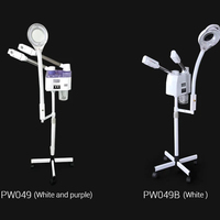 Vaporisateur facial professionnel chaud et froid à nano-pulvérisation avec lumière grossissante pour salon