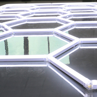 Aimant hexagonal d'intense luminosité pour la lumière hexagonale menée par lumières hexagonales de plafond de garage