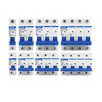 Interruptores de Circuito en Miniatura de Cobre CHiNT de Buena Calidad, Tipos 1P/2P/3P/4P, Capacidad de Ruptura de 6KA, Modelo NXB-63