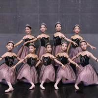 Nouvelle Robe Tutu Longue Bleue Romantique Professionnelle avec Bretelles pour Costumes de Danse de Ballet pour Enfants et Tenues de Spectacle