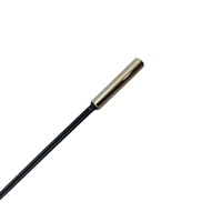 Sensor Suhu Tahan Air Termistor NTC 10K yang Dapat Disesuaikan, Kabel Probe SS304/316/310, Dukungan ODM, Penggunaan Industri, Output Analog
