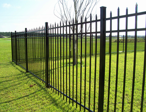 Hàng đầu bán hàng rào thép sơn tĩnh điện màu đen cho hàng rào an ninh - Product Image 6