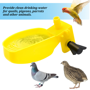Bol à boire pour colombe de caille d'<span class=keywords><strong>oiseau</strong></span>, abreuvoir automatique, bols suspendus, tasse à boire, outils d'alimentation de caille d'<span class=keywords><strong>oiseau</strong></span> à vendre - Product Image 6