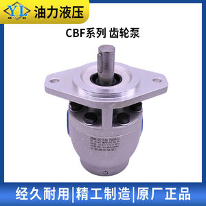 ปั๊มน้ำมันไฮดรอลิกแบบเฟือง ซีรีส์ CBF-(F)E1018 ของฟู่ซิน ซีชوان ฉางเจียง ซีรีส์ CBF-(F)E1018 - Product Image 3