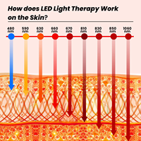 IDEATHERAPY Appareil de luminothérapie rouge et infrarouge proche pour chevaux, pour une relaxation complète du corps en salle