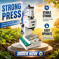 Presse à air compacte et économe en énergie, machine de poinçonnage industrielle sécurisée pour le poinçonnage et l'assemblage de tôles métalliques