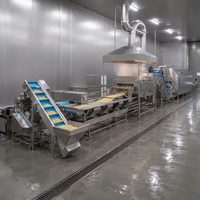 Nouvelle Conception de Machine Semi-Automatique pour la Fabrication de Frites, Ligne Commerciale de Tranchage, Blanchiment, Séchage, Friture et Congélation