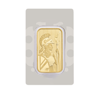 Emballage de luxe pour lingots d'or et d'argent, capsule pour lingot d'or 1oz 250g 500g, boîte cadeau blister PET pour investissement