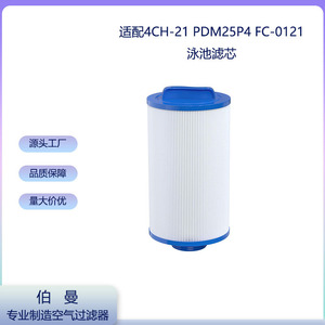 Cartucho de filtro para piscina Berman Filter 4CH-21 para spa y piscina - Product Image 5