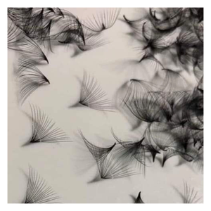 Beauty Premium 20D/1000 Premade Fans Extensiones de pestañas Bandeja de maquillaje diario de alta calidad Embalaje Hecho en Vietnam - Product Image 3