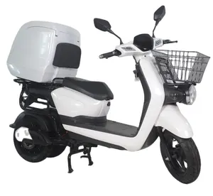 2023 Europe Popular Rear Big Express Box Swinging Cargo Scooter Food Delivery Electric Tricycle with EEC