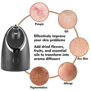 <span class=keywords><strong>Vaporisateur</strong></span> Facial SPA, <span class=keywords><strong>meilleur</strong></span> professionnel Nano ionique brume chaude Sauna Facial domestique, Machine d'humidification <span class=keywords><strong>Portable</strong></span> - Product Image 6