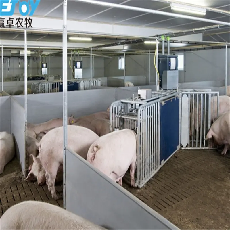 Tự động Lợn Nuôi Thiết Bị Từ Trung Quốc