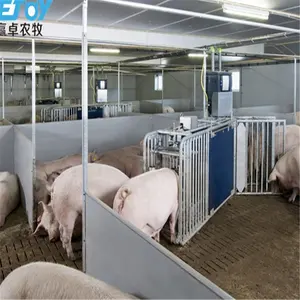 Chất lượng cao Tự động lợn ăn dòng hệ thống piggery nông nghiệp thiết bị từ Trung Quốc - Product Image 6