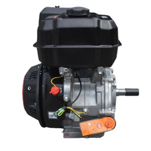 <span class=keywords><strong>Moteur</strong></span> de <span class=keywords><strong>bateau</strong></span> à essence 7 CV 212 cm³ à démarrage électrique, refroidi par air, monocylindre, Euro 5 - Offre Spéciale - Product Image 5