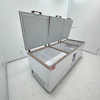 Congélateur coffre horizontal surgelé de grande capacité à trois portes ouvertes congélateurs réfrigérateurs et congélateurs