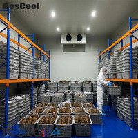 Système de chambre froide à vente chaude, chambre froide isolée de grande taille, congélateur, chambre froide pour le stockage de la viande de bœuf, des fruits de mer