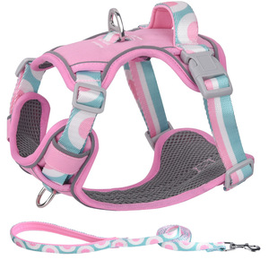 Kingtale kekang anjing dengan tali, rompi dapat diatur perlengkapan jalan lembut dapat bernafas Aksesori hewan peliharaan untuk anak anjing kecil <span class=keywords><strong>Chihuahua</strong></span> Pug - Product Image 6