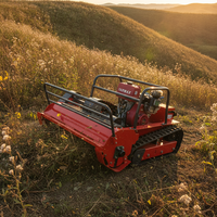 Livraison Gratuite Tondeuse Robot à Fléaux Télécommandée Tout-Terrain Agricole à Moteur Diesel CE EPA 800mm 1000mm 1200mm
