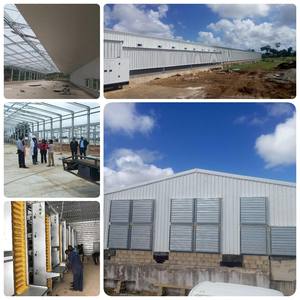 Granja avícola <span class=keywords><strong>de</strong></span> cría <span class=keywords><strong>de</strong></span> pollos <span class=keywords><strong>de</strong></span> engorde para 10000 gallineros/<span class=keywords><strong>casa</strong></span> avícola para 20000 pollos granja avícola <span class=keywords><strong>de</strong></span> doble propósito - Product Image 3