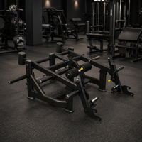 Reyk REYK-B03 Appareil d'extension des hanches à double position en acier, inclinable à 45 degrés, avec pile de poids de 75 kg+, pour musculation des épaules