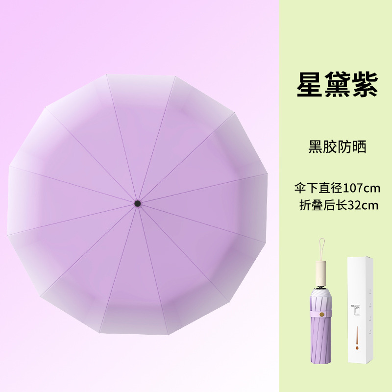 [gradient] - xingdai purple ~ 60-bone automatic