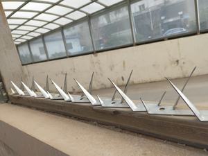 Maquinilla de afeitar galvanizada de seguridad, con púas de pared, alambre de púas, antiescalada, valla en la parte superior o en la parte superior de la pared - Product Image 2