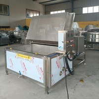 Friteuse met grote capaciteit voor plantainchips, cassave, falafel, frieten, bananenchips en andere snacks.