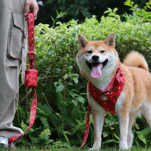 สายจูงสัตว์เลี้ยง OKEYPETS แบบปรับได้ ลายพิมพ์ตามสั่ง สายรัดอเนกประสงค์ นุ่มสบาย ใช้งานได้โดยไม่ต้องใช้มือ - Product Image 3