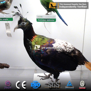 <span class=keywords><strong>Mon</strong></span> Dino AA009 Décoration <span class=keywords><strong>de</strong></span> parc d'attractions Animal animatronique Taille réelle Oiseau Dodo - Product Image 5
