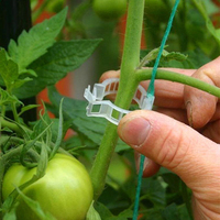 Clips de Soutien pour Plantes en Bioplastique Blanc de Haute Qualité, Adhérence Forte 16-25mm, Application Rapide pour Pépinière, Jardin, Tomates, Concombres, Vignes