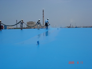 Rivestimento Impermeabilizzante Ibrido in Poliurea e Poliuretano Spray per Sottotetti, Tetti e Pavimenti, Anti-Infiltrazioni, Vernice Elastica per Mobili a Prezzo Conveniente - Product Image 6