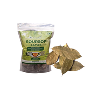 Natürlicher Graviola-Blatt-Tee Getrockneter Soursop hinterlässt natürlichen Guaviola-Blatt-Tee zu einem angemessenen Preis von Vietnam Export Company