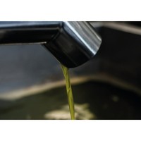 Ursini Tandem Premium Italiaanse Extra Vierge Olijfolie 500 Ml Fles Voor Retail En Restaurants