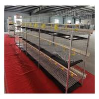 Nouvel équipement de cage à poulets automatique à 68 niveaux avec 3 étages et 2 enclos de repos pour poulets, porte de poulailler pour ferme avicole