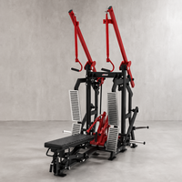 Machine Commerciale 2-en-1 Lat Pulldown et Rameur Longue, Équipement de Gymnastique à Double Fonction avec Poulie pour l'Entraînement de la Force du Dos