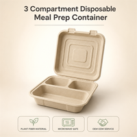 Boîte repas jetable à 3 compartiments en bagasse de canne à sucre, compatible micro-ondes, pour déjeuner, collation, à emporter, bento, boîte à repas chaud, restaurant