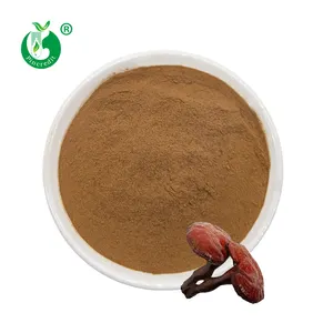 Organic Certified Shell Broken Red Ganoderma Lucidum Reishi Mushroom Spore Extract Powder